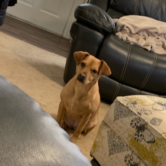 Meet your Posher, Michael - Picture 1 of 1